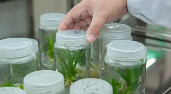 Czy po biotechnologii można uczyć w szkole? Sprawdź wymagania!