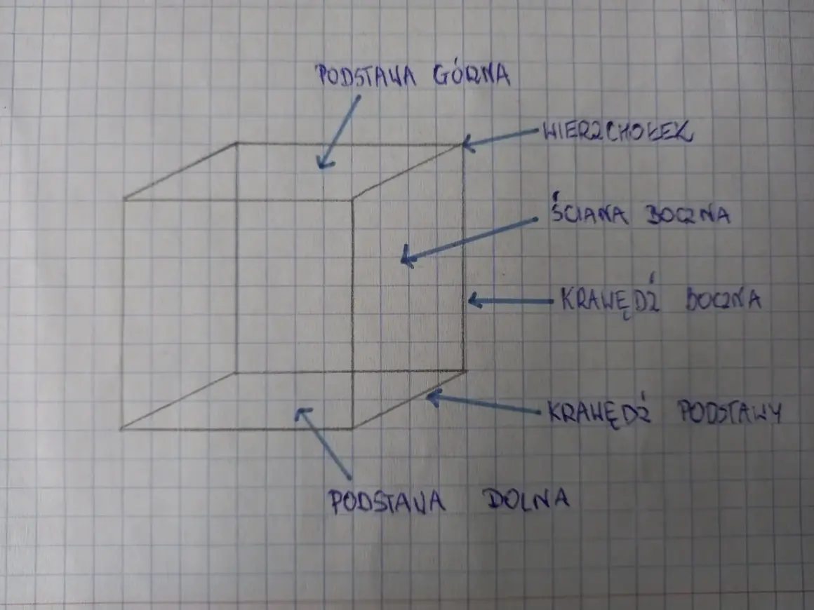 Schemat sześcianu z oznaczeniami: podstawa górna/dolna, ściana boczna, krawędź boczna/podstawy. Pomocne przy wzorze na objętość sześcianu.